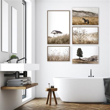 Picture for category through the lens