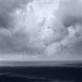 Picture of Flying through a storm  _GroupedProduct_Rectangle_Landscape_Photography _GroupedProduct_Rectangle_Landscape_Unframed_Print_Only_