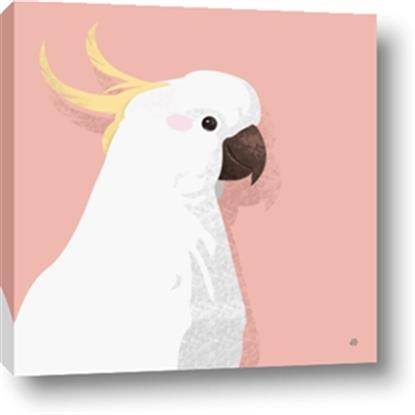 Picture of Cockatoo