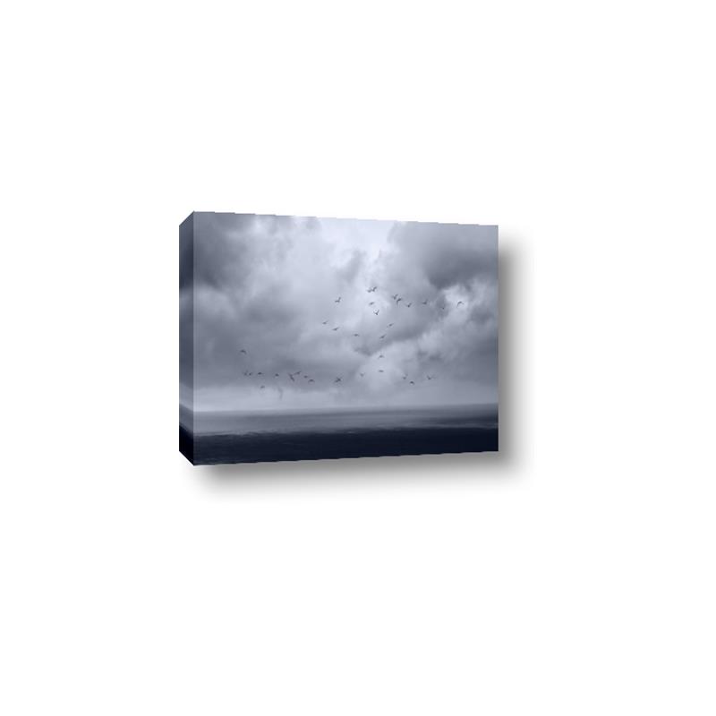 Picture of Flying through a storm  _GroupedProduct_Rectangle_Landscape_Photography _GroupedProduct_Rectangle_Landscape_Canvas_