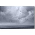 Picture of Flying through a storm  _GroupedProduct_Rectangle_Landscape_Photography _GroupedProduct_Rectangle_Landscape_Canvas_