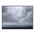 Picture of Flying through a storm  _GroupedProduct_Rectangle_Landscape_Photography _GroupedProduct_Rectangle_Landscape_Canvas_Framed_