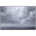 Picture of Flying through a storm  _GroupedProduct_Rectangle_Landscape_Photography _GroupedProduct_Rectangle_Landscape_Canvas_Framed_