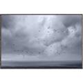 Picture of Flying through a storm  _GroupedProduct_Rectangle_Landscape_Photography _GroupedProduct_Rectangle_Landscape_Canvas_Framed_