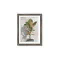 Picture of Waiting for Fall _GroupedProduct_Rectangle_Portrait_Framed_Matted_
