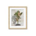 Picture of Waiting for Fall _GroupedProduct_Rectangle_Portrait_Framed_Matted_