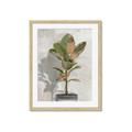 Picture of Waiting for Fall _GroupedProduct_Rectangle_Portrait_Framed_Matted_