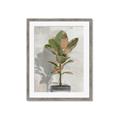 Picture of Waiting for Fall _GroupedProduct_Rectangle_Portrait_Framed_Matted_
