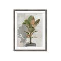 Picture of Waiting for Fall _GroupedProduct_Rectangle_Portrait_Framed_Matted_
