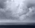 Picture of Flying through a storm  _GroupedProduct_Rectangle_Landscape_Photography _GroupedProduct_Rectangle_Landscape_Unframed_Print_Only_