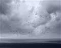 Picture of Flying through a storm  _GroupedProduct_Rectangle_Landscape_Photography _GroupedProduct_Rectangle_Landscape_Unframed_Print_Only_