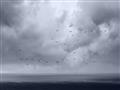 Picture of Flying through a storm  _GroupedProduct_Rectangle_Landscape_Photography _GroupedProduct_Rectangle_Landscape_Unframed_Print_Only_