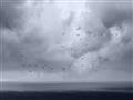 Picture of Flying through a storm  _GroupedProduct_Rectangle_Landscape_Photography _GroupedProduct_Rectangle_Landscape_Unframed_Print_Only_