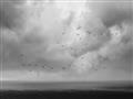 Picture of Flying through a storm  _GroupedProduct_Rectangle_Landscape_Photography _GroupedProduct_Rectangle_Landscape_Unframed_Print_Only_
