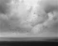Picture of Flying through a storm  _GroupedProduct_Rectangle_Landscape_Photography _GroupedProduct_Rectangle_Landscape_Unframed_Print_Only_
