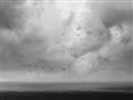 Picture of Flying through a storm  _GroupedProduct_Rectangle_Landscape_Photography _GroupedProduct_Rectangle_Landscape_Unframed_Print_Only_