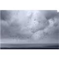 Picture of Flying through a storm  _GroupedProduct_Rectangle_Landscape_Photography _GroupedProduct_Rectangle_Landscape_Unframed_Print_Only_