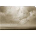 Picture of Flying through a storm  _GroupedProduct_Rectangle_Landscape_Photography _GroupedProduct_Rectangle_Landscape_Unframed_Print_Only_