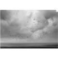 Picture of Flying through a storm  _GroupedProduct_Rectangle_Landscape_Photography _GroupedProduct_Rectangle_Landscape_Unframed_Print_Only_