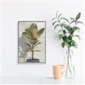 Picture of Waiting for Fall _GroupedProduct_Rectangle_Portrait_Canvas_Framed_