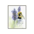 Picture of Bumblebee  _GroupedProduct_Rectangle_Portrait_Canvas_Framed_