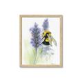 Picture of Bumblebee  _GroupedProduct_Rectangle_Portrait_Framed_Matted_