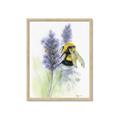Picture of Bumblebee  _GroupedProduct_Rectangle_Portrait_Framed_Matted_