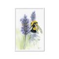 Picture of Bumblebee  _GroupedProduct_Rectangle_Portrait_Framed_Matted_