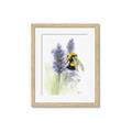 Picture of Bumblebee  _GroupedProduct_Rectangle_Portrait_Framed_Matted_