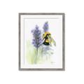 Picture of Bumblebee  _GroupedProduct_Rectangle_Portrait_Framed_Matted_