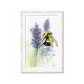 Picture of Bumblebee  _GroupedProduct_Rectangle_Portrait_Framed_Matted_