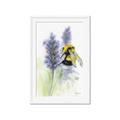 Picture of Bumblebee  _GroupedProduct_Rectangle_Portrait_Framed_Matted_