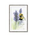 Picture of Bumblebee  _GroupedProduct_Rectangle_Portrait_Framed_Matted_