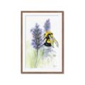 Picture of Bumblebee  _GroupedProduct_Rectangle_Portrait_Framed_Matted_