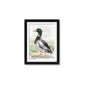 Picture of Wading Away _GroupedProduct_Rectangle_Portrait_Framed_Matted_
