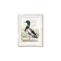 Picture of Wading Away _GroupedProduct_Rectangle_Portrait_Framed_Matted_
