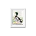 Picture of Wading Away _GroupedProduct_Rectangle_Portrait_Framed_Matted_