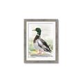Picture of Wading Away _GroupedProduct_Rectangle_Portrait_Framed_Matted_