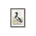 Picture of Wading Away _GroupedProduct_Rectangle_Portrait_Framed_Matted_