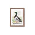 Picture of Wading Away _GroupedProduct_Rectangle_Portrait_Framed_Matted_