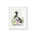 Picture of Wading Away _GroupedProduct_Rectangle_Portrait_Framed_Matted_