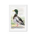 Picture of Wading Away _GroupedProduct_Rectangle_Portrait_Framed_Matted_