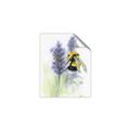 Picture of Bumblebee  _GroupedProduct_Rectangle_Portrait_Unframed_Print_Only_