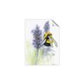 Picture of Bumblebee  _GroupedProduct_Rectangle_Portrait_Unframed_Print_Only_
