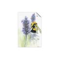 Picture of Bumblebee  _GroupedProduct_Rectangle_Portrait_Unframed_Print_Only_