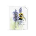 Picture of Bumblebee  _GroupedProduct_Rectangle_Portrait_Unframed_Print_Only_