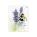 Picture of Bumblebee  _GroupedProduct_Rectangle_Portrait_Unframed_Print_Only_