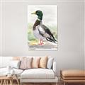 Picture of Wading Away _GroupedProduct_Rectangle_Portrait_Canvas_