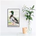 Picture of Wading Away _GroupedProduct_Rectangle_Portrait_Canvas_Framed_