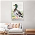 Picture of Wading Away _GroupedProduct_Rectangle_Portrait_Canvas_Framed_